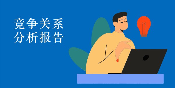 竞争关系分析